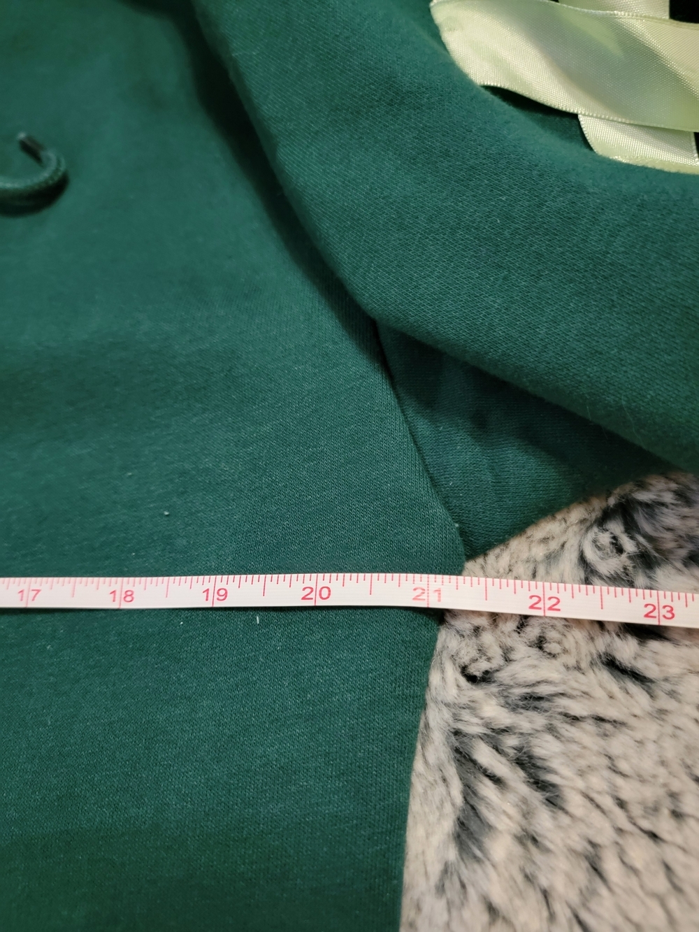 Fashion Nova x WICKED Emerald City Fleece Hoodie - Size Large - Picture 5 of 6